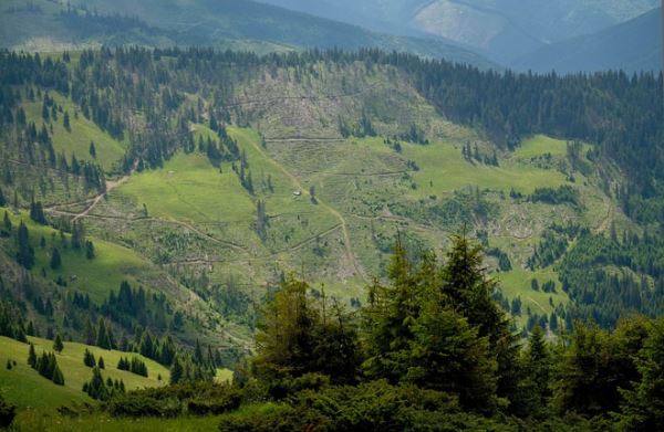 От удара молнии в румынских горах погиб немецкий турист