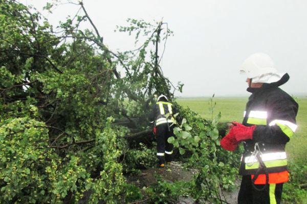 На Хмельнитчине бушевала непогода: повалены деревья, подтоплены дома