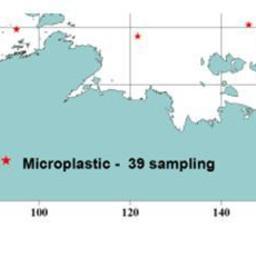 Арктические моря пока свободны от микропластика