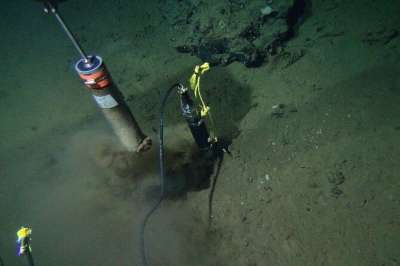 "Невозможная" форма жизни найдена под морским дном - новости экологии на ECOportal