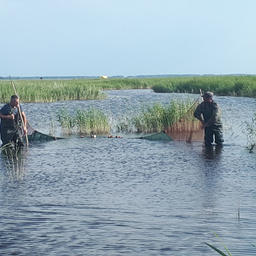 Рыбные ресурсы озер Западной Сибири оценивает наука